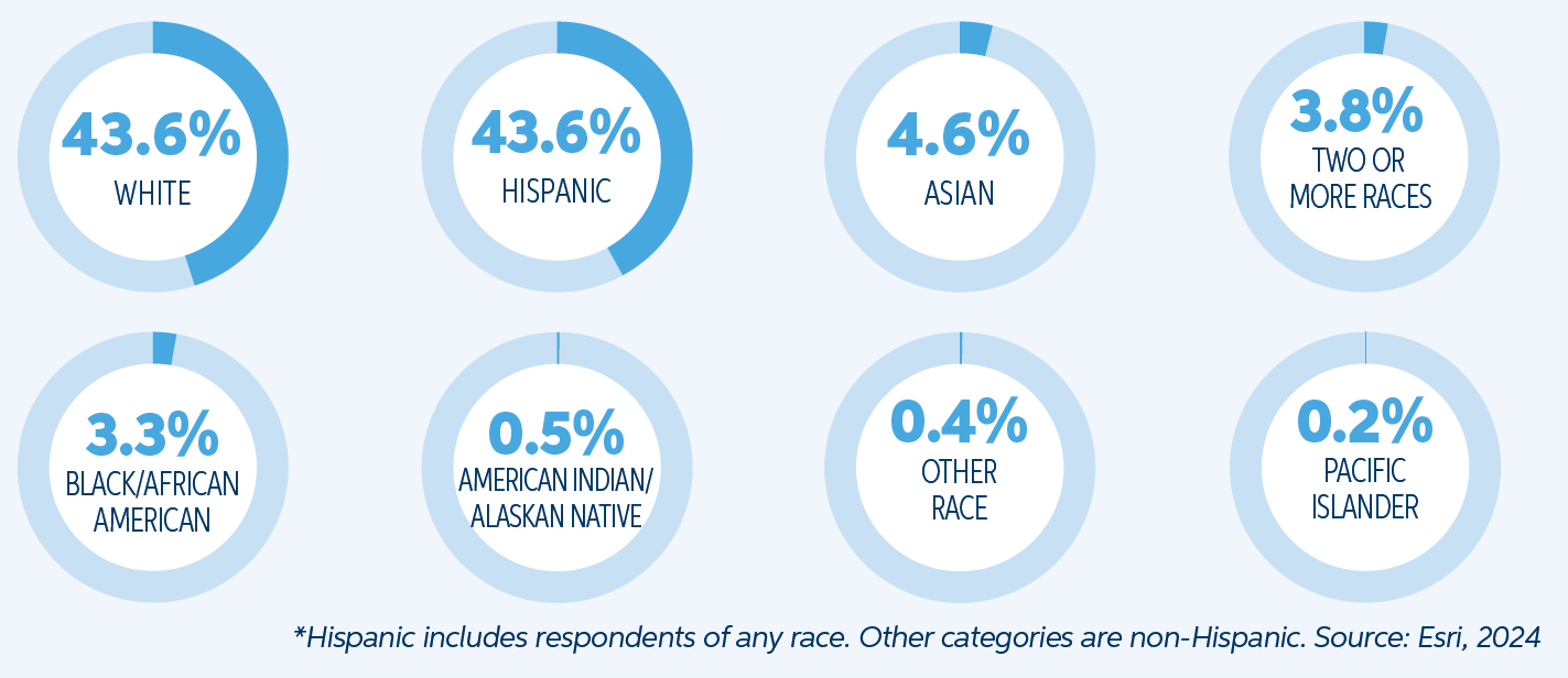 Demographic pie charts showing racial percentages: White 43.6%, Hispanic 43.6%, Asian 4.6%, Two or more races 3.8%, Black/African American 3.3%, American Indian/Alaskan Native 0.5%, Other race 0.4%, Pacific Islander 0.2%. Hispanic includes respondents of any race. Other categories are non-Hispanic. Source: Esri, 2024